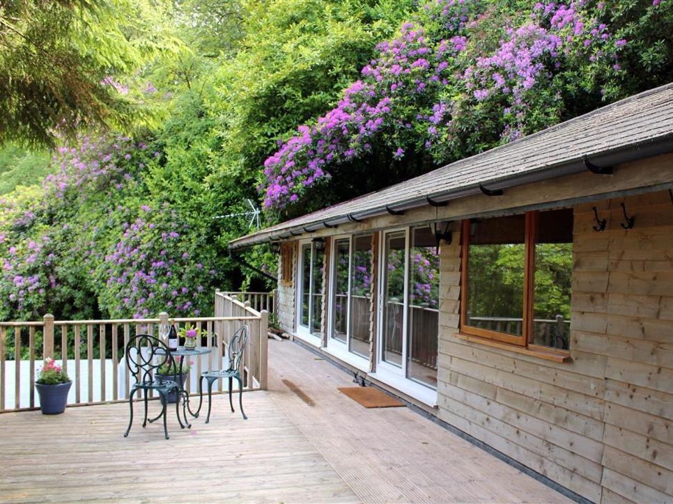 B&B Parracombe - Treetops - Bed and Breakfast Parracombe