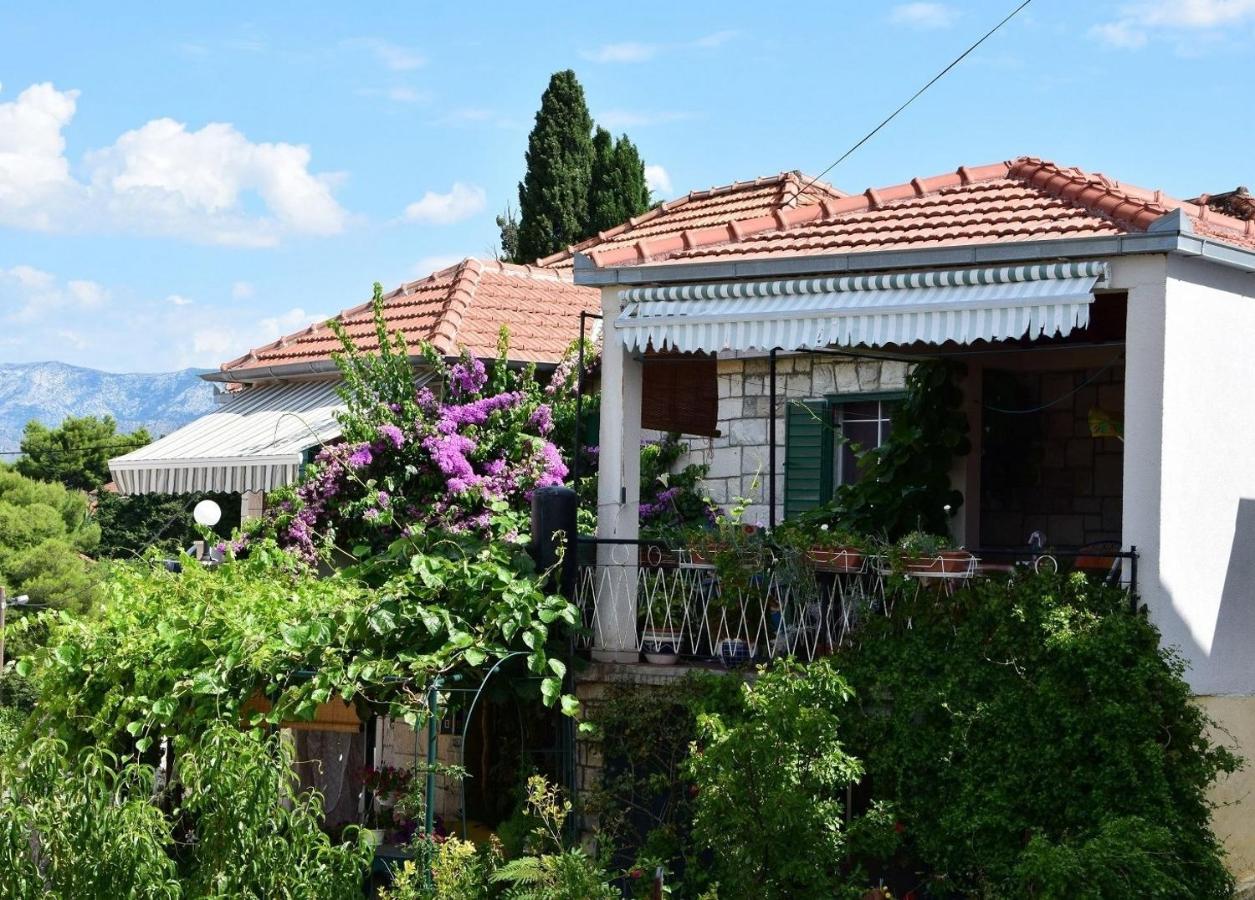 B&B Splitska - Apartments Kat - 80 m from beach - Bed and Breakfast Splitska