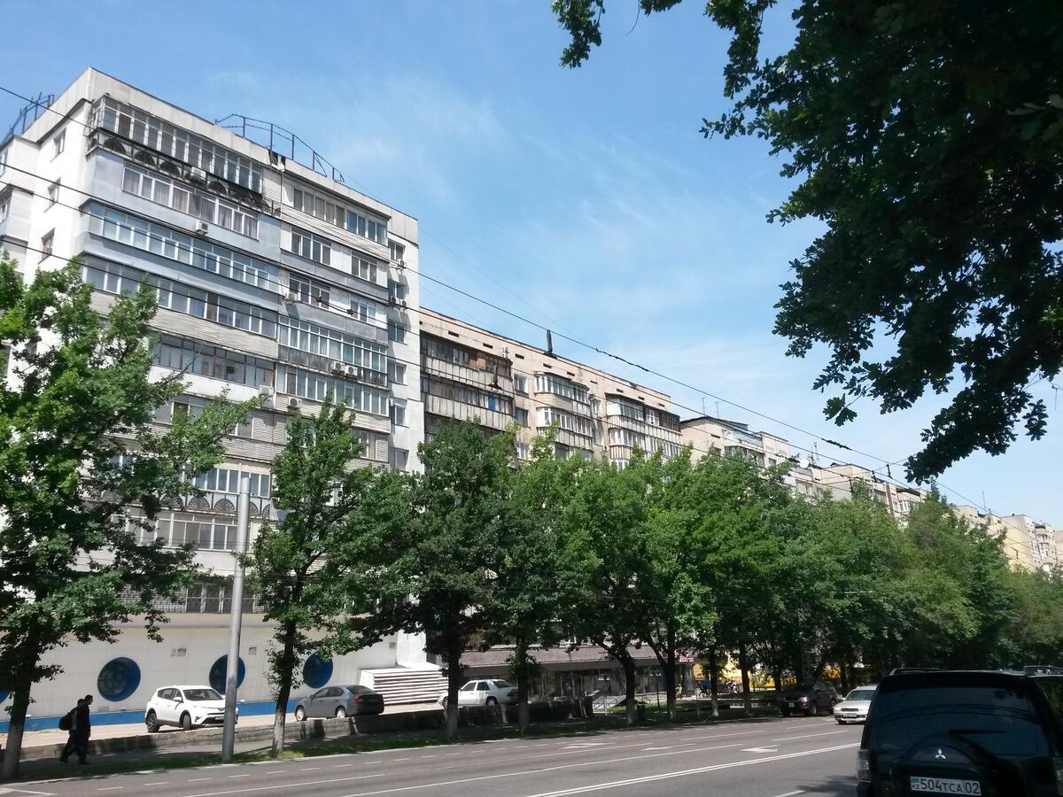 "Картина горных вершин" Квартира- "Mountain view" Apartment - Chambres d'hôtes Almaty