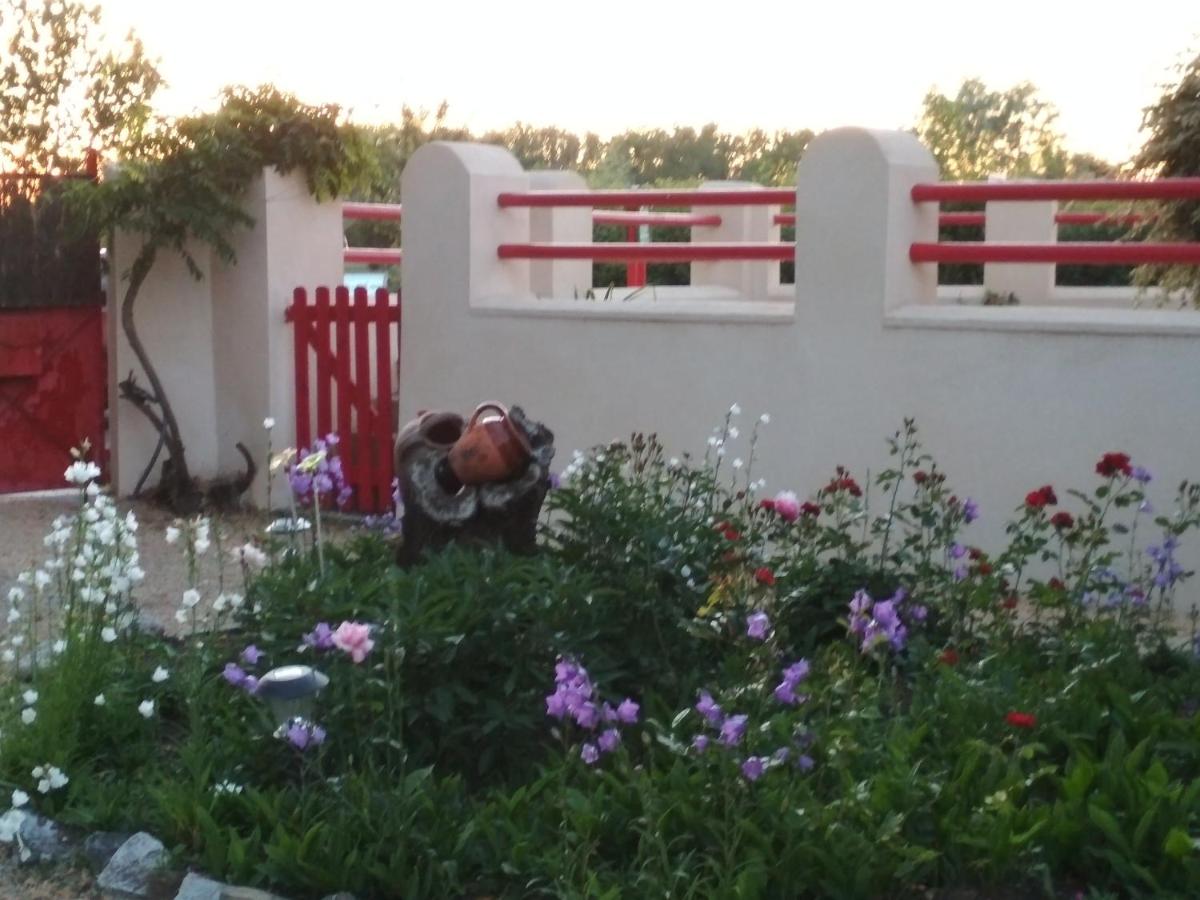 Tweepersoonskamer met Uitzicht op de Tuin