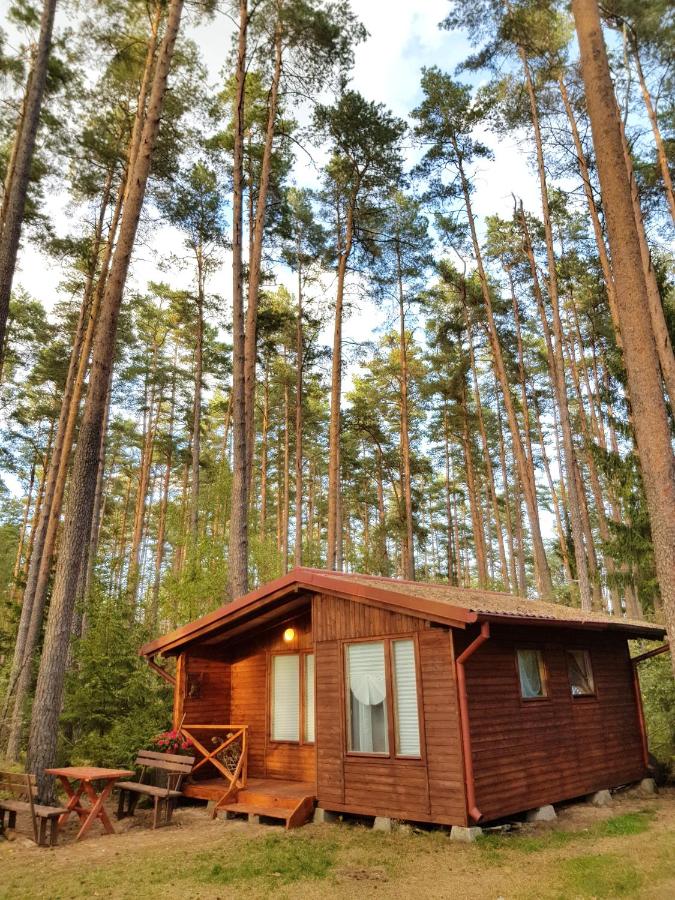 Mazurska Sielanka na Wiartlu - Bed and Breakfast