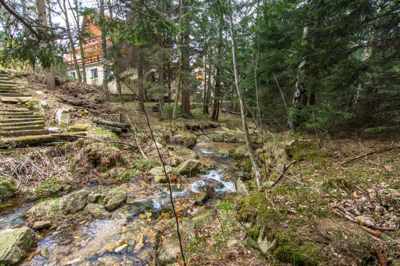 Apartamenty hoteLOVE z sauną przy Strumieniu - Chambres d’hôtes