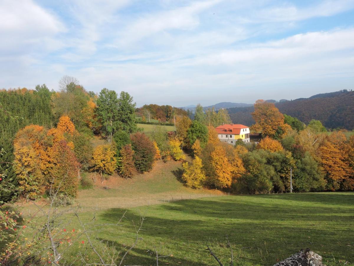 Apartmány Na Lontě - B&B