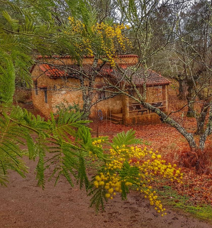 Finca la Viriñuela - Chambres d’hôtes Galaroza