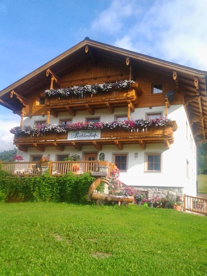 Ferienwohnungen Behamhof - B&B
