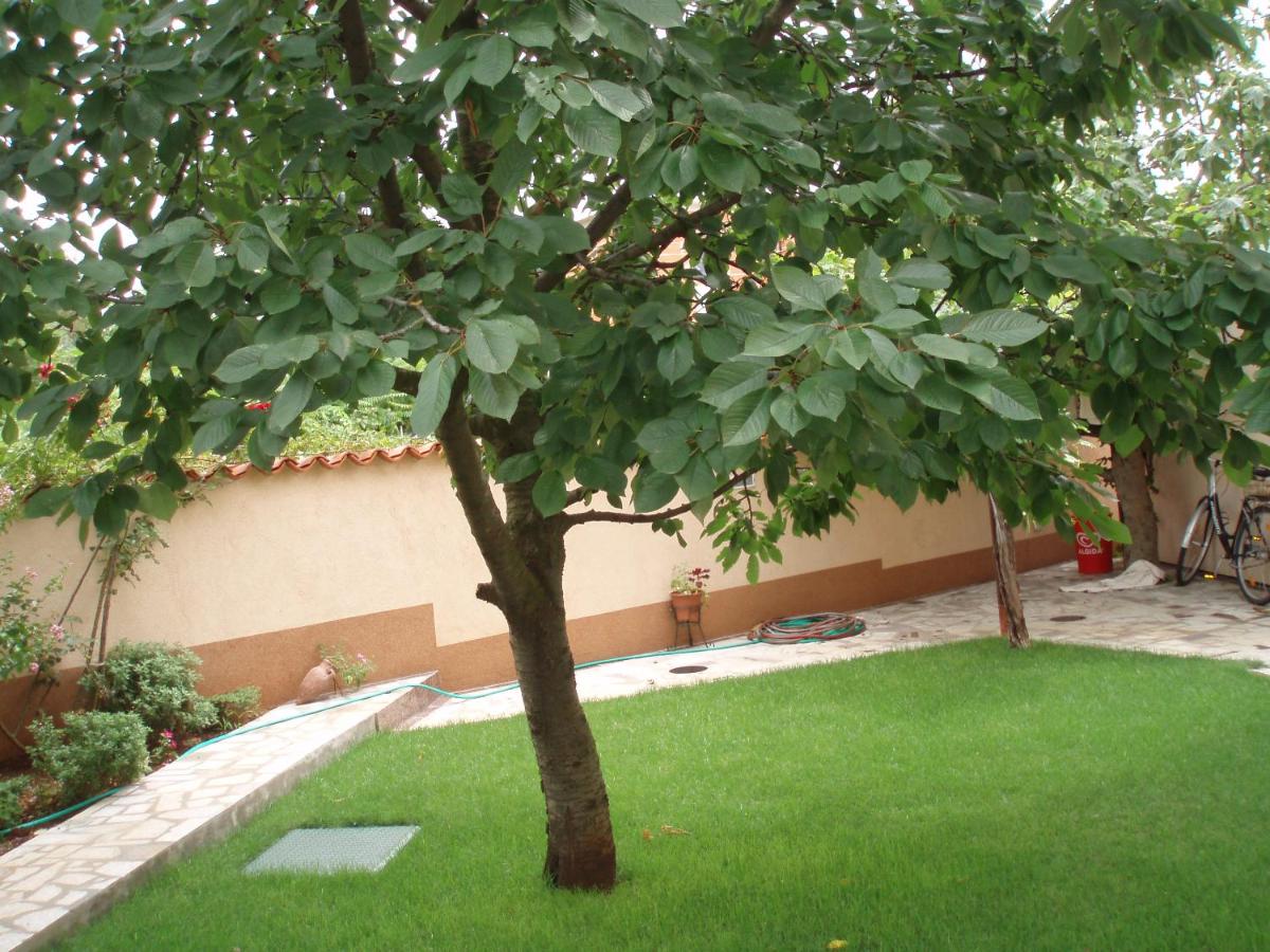 Haus Milan AP3 - B&B
