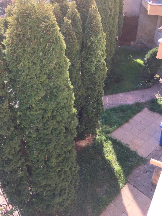 Vila Casa Esy - B&B Eforie Nord