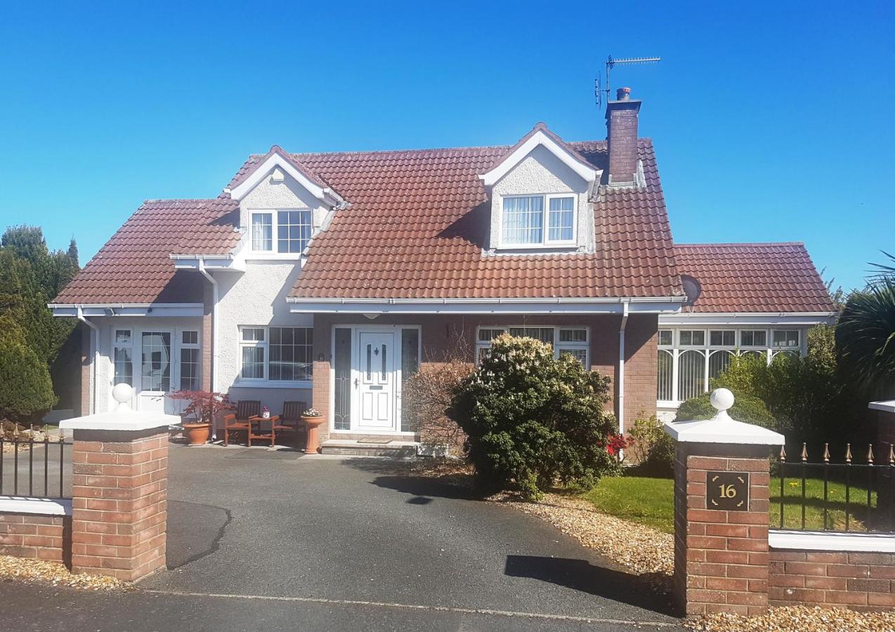 Highfields Self Contained Studio - B&B
