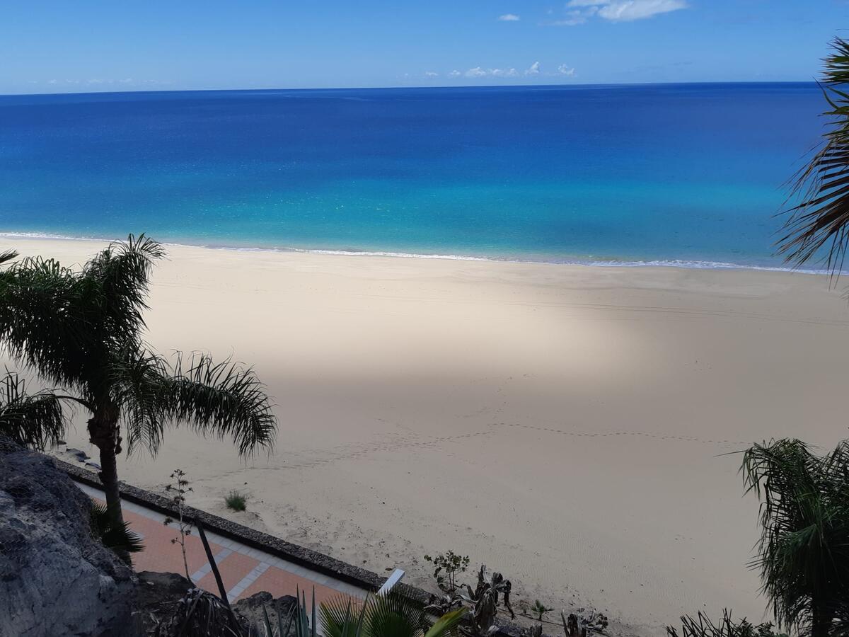 Ocean View Apartament - B&B
