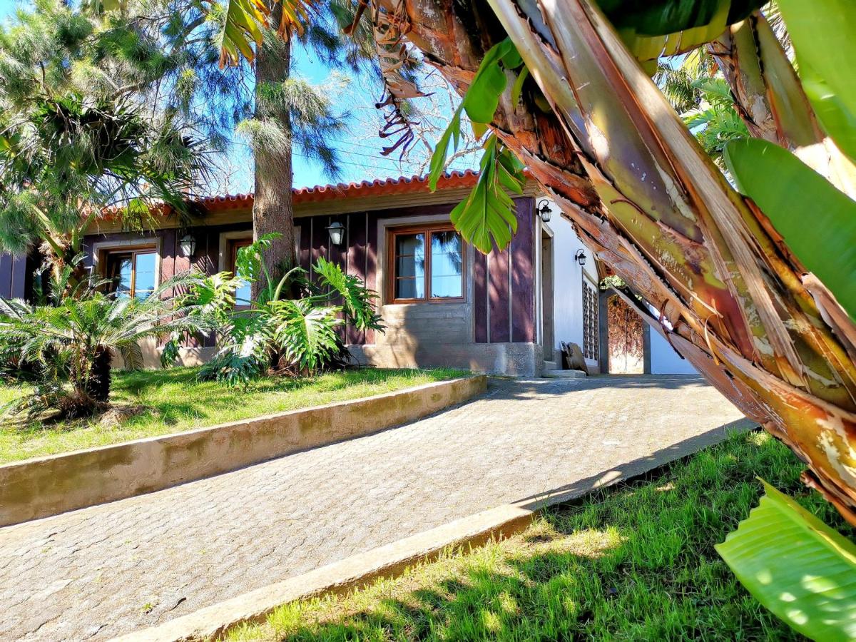 O Refúgio - Espaço natural, amplo e privado - B&B