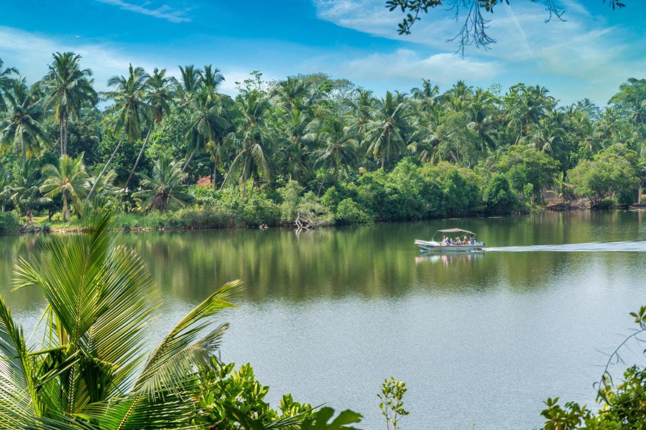 Double Room with Lake View