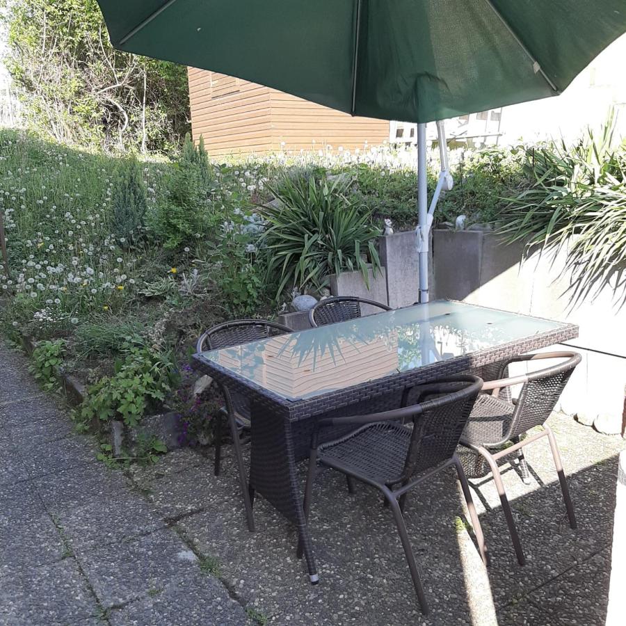 Am Badischen Weinberg - B&B