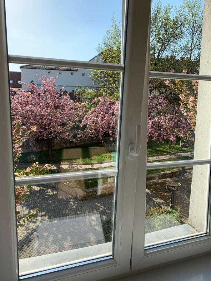 Négy évszak Apartman- Tapolca - B&B