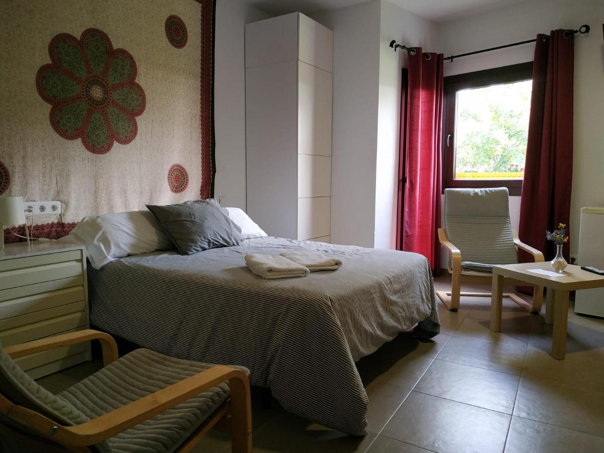 Studio with Garden View