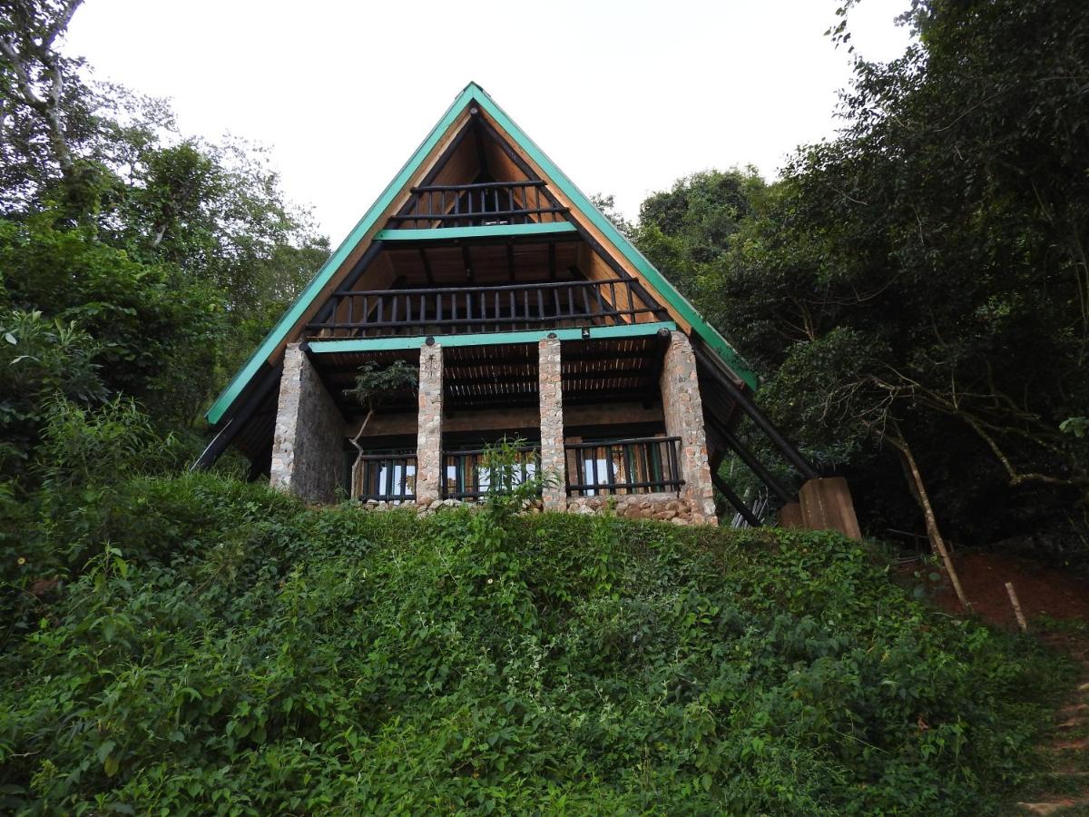 Madrugada - Bed and Breakfast