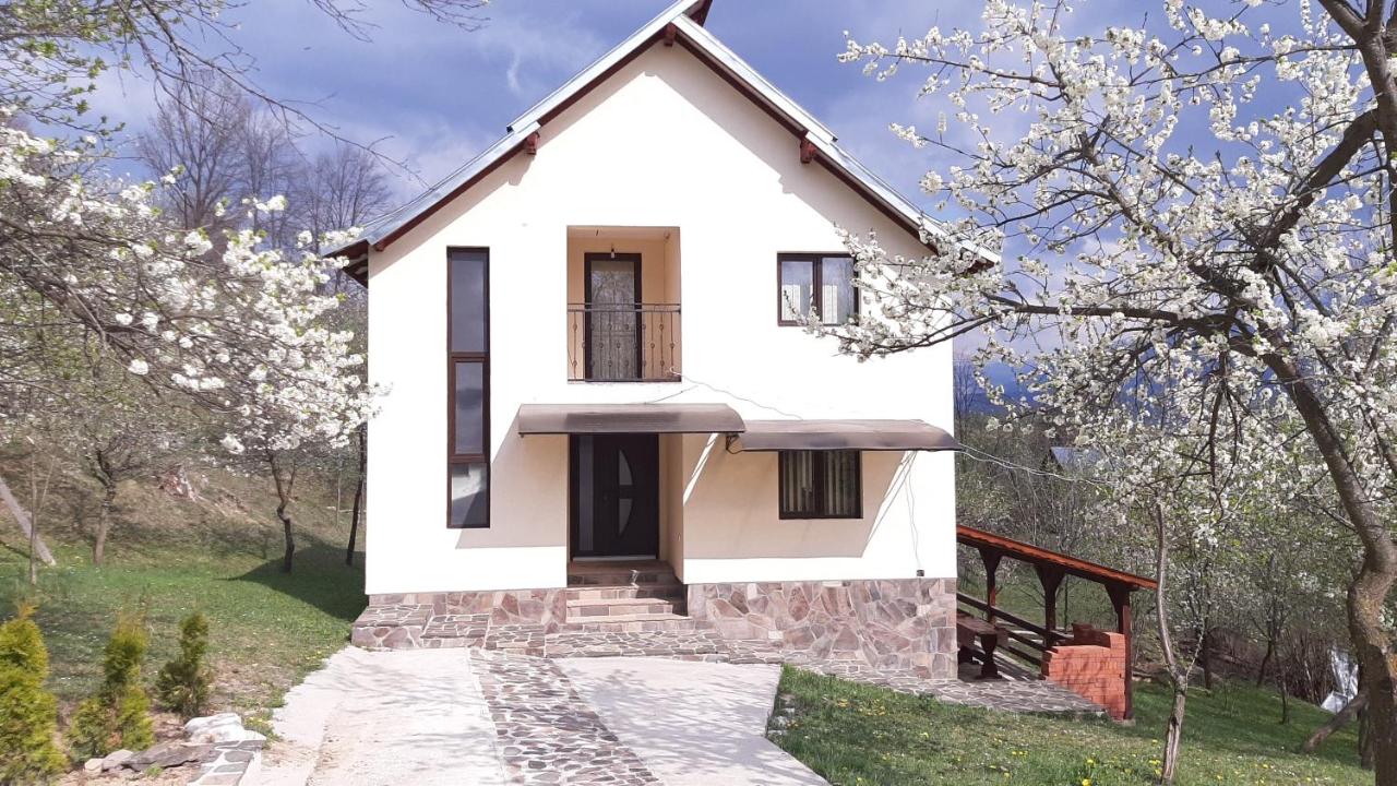 B&B Moisei - Casa Fluțar - Bed and Breakfast Moisei