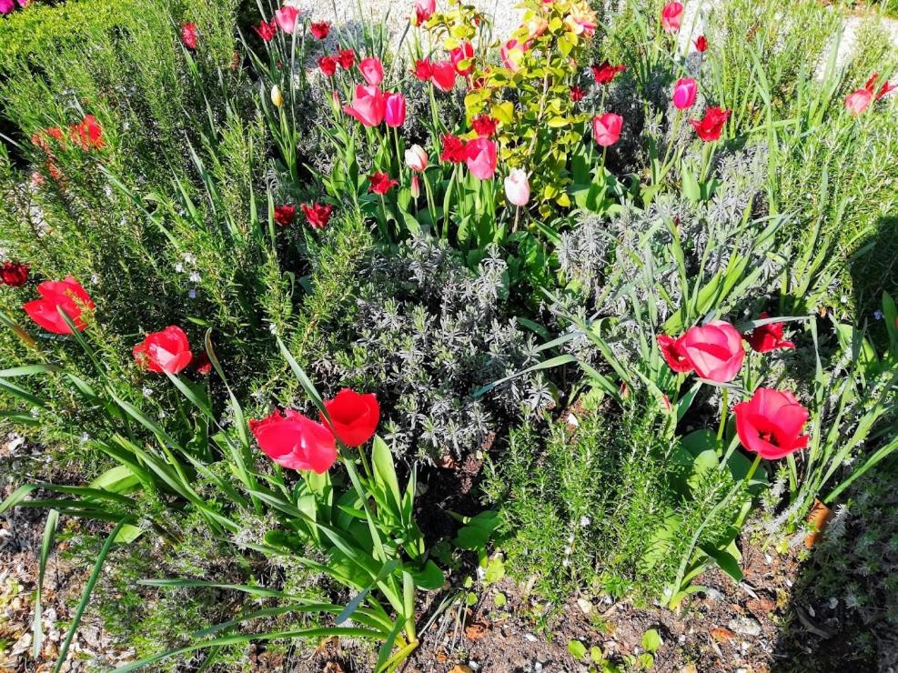 Doppelzimmer mit Gartenblick