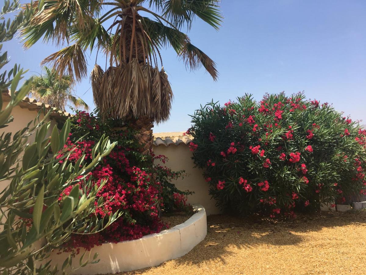 Cortijo Esquina B&B Guesthouse - Ferienwohnung