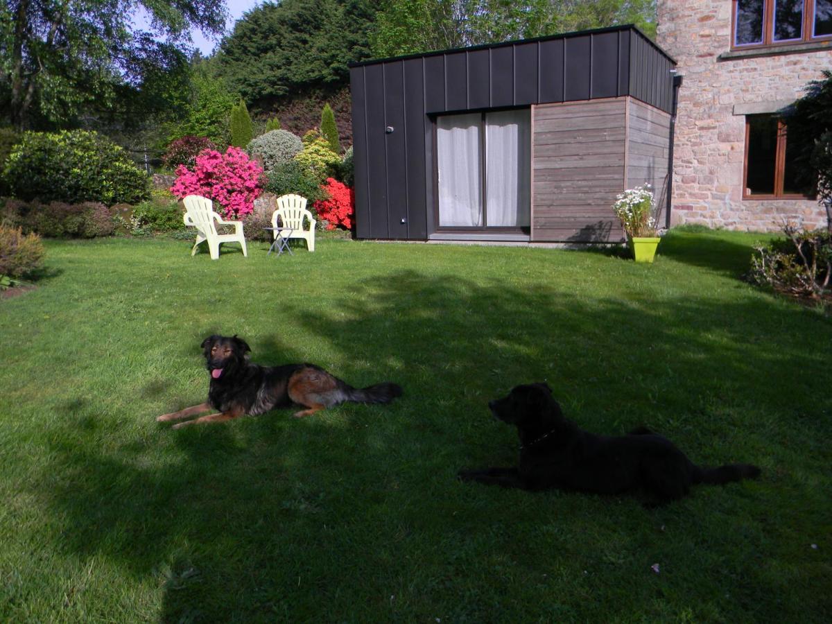 Camera Queen con Vista Giardino