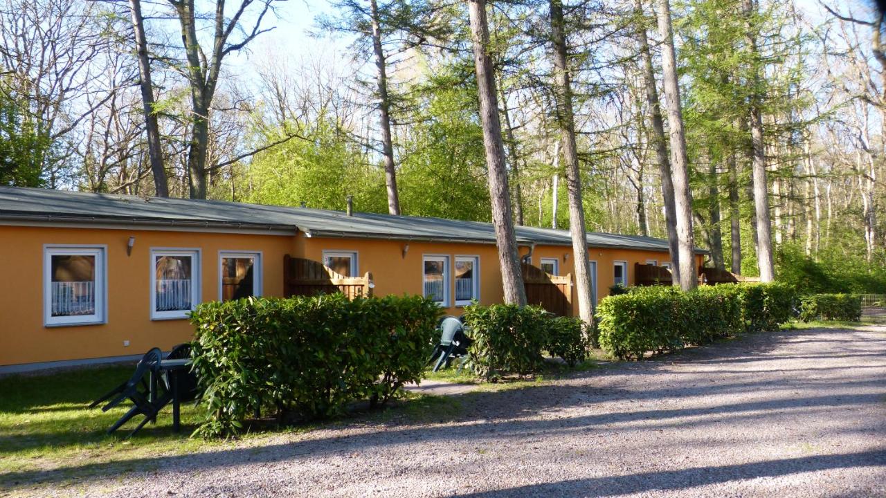 Bernstein Appartements - B&B Dranske