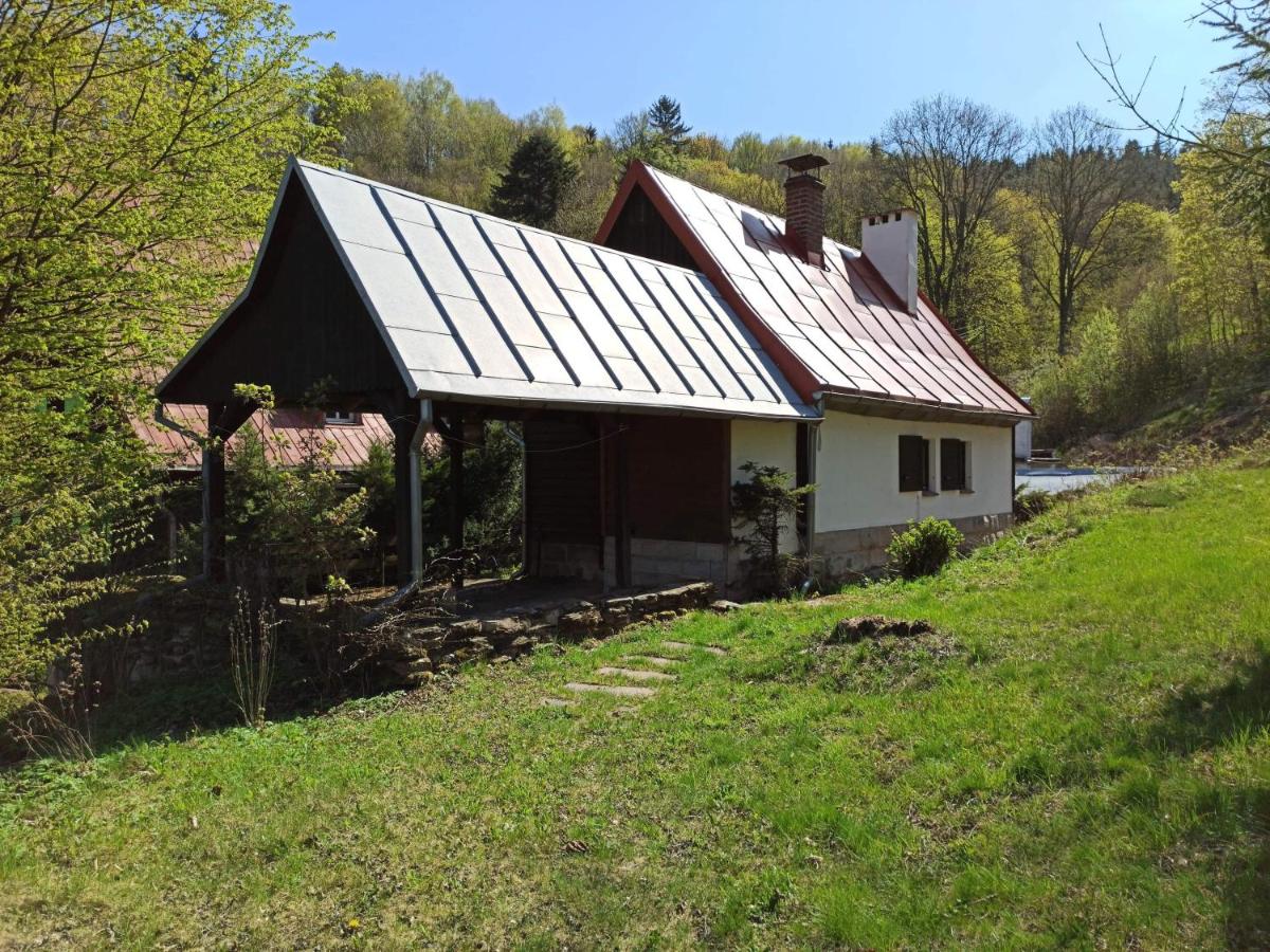 Dom Pod Ptasznicą - B&B