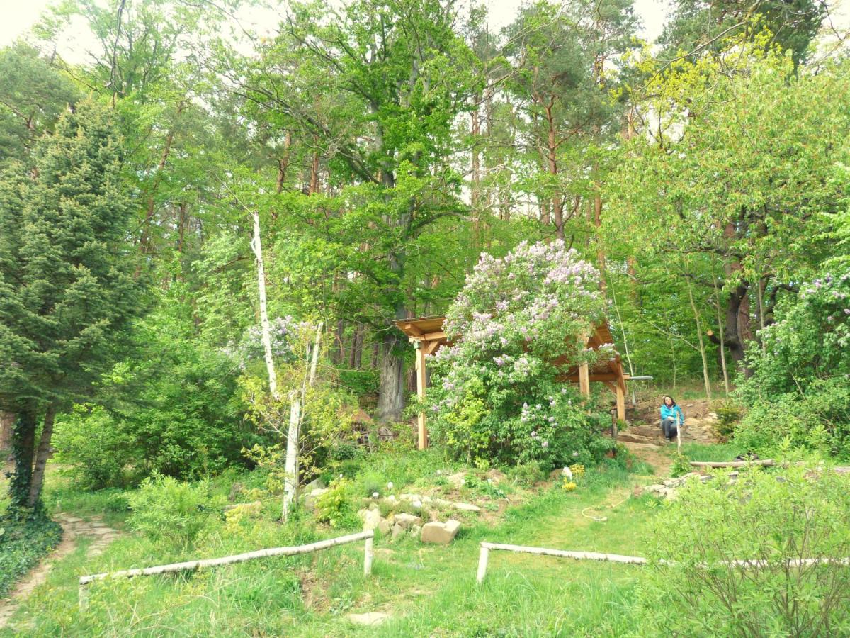 Chaloupka U sv. Dyndy - B&B