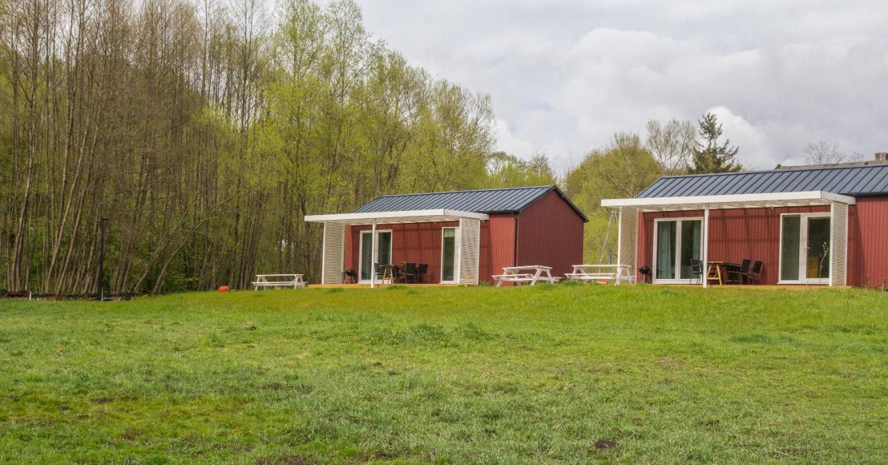 Domki Przystanek Drzewina - B&B Drzewina