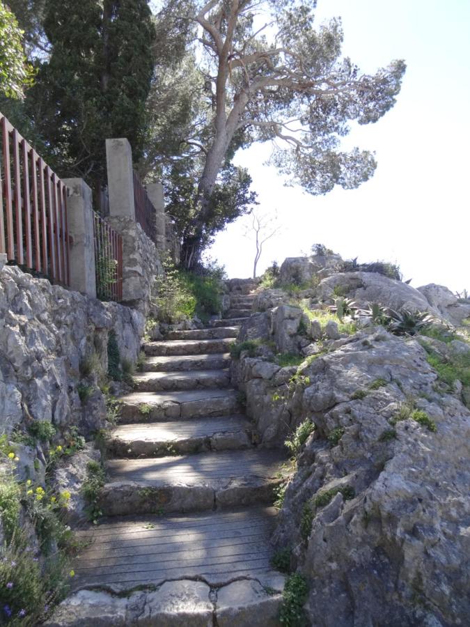Nugal Apartment Makarska - B&B Macarsca