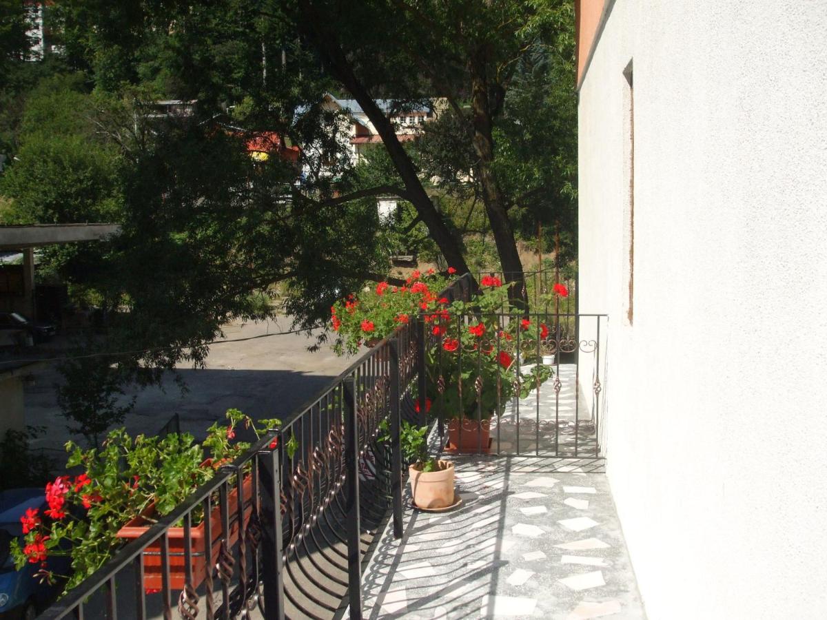 Family Suite (2 Adults + 2 Children)