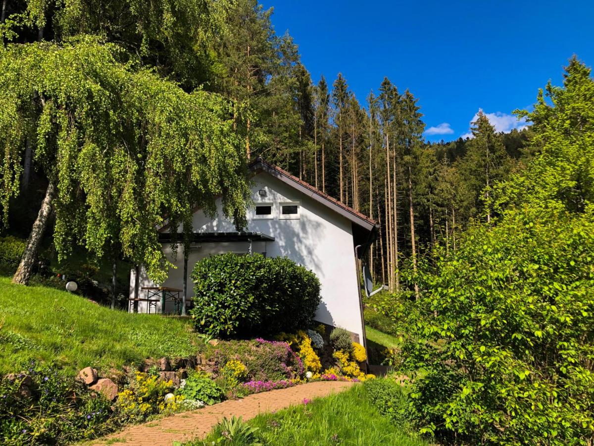 Surrbach Chalet - B&B