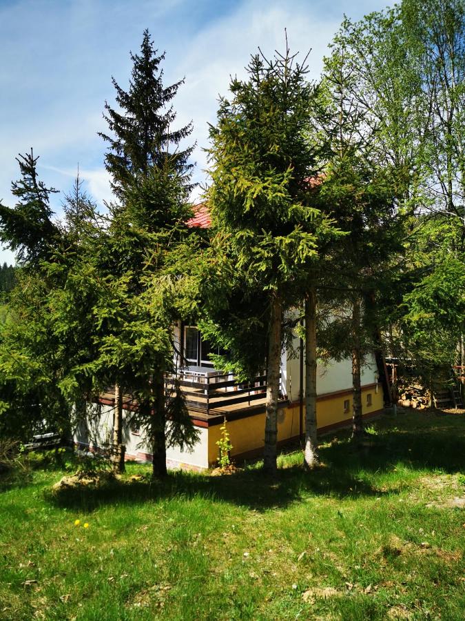 Wójtówka 16 - B&B