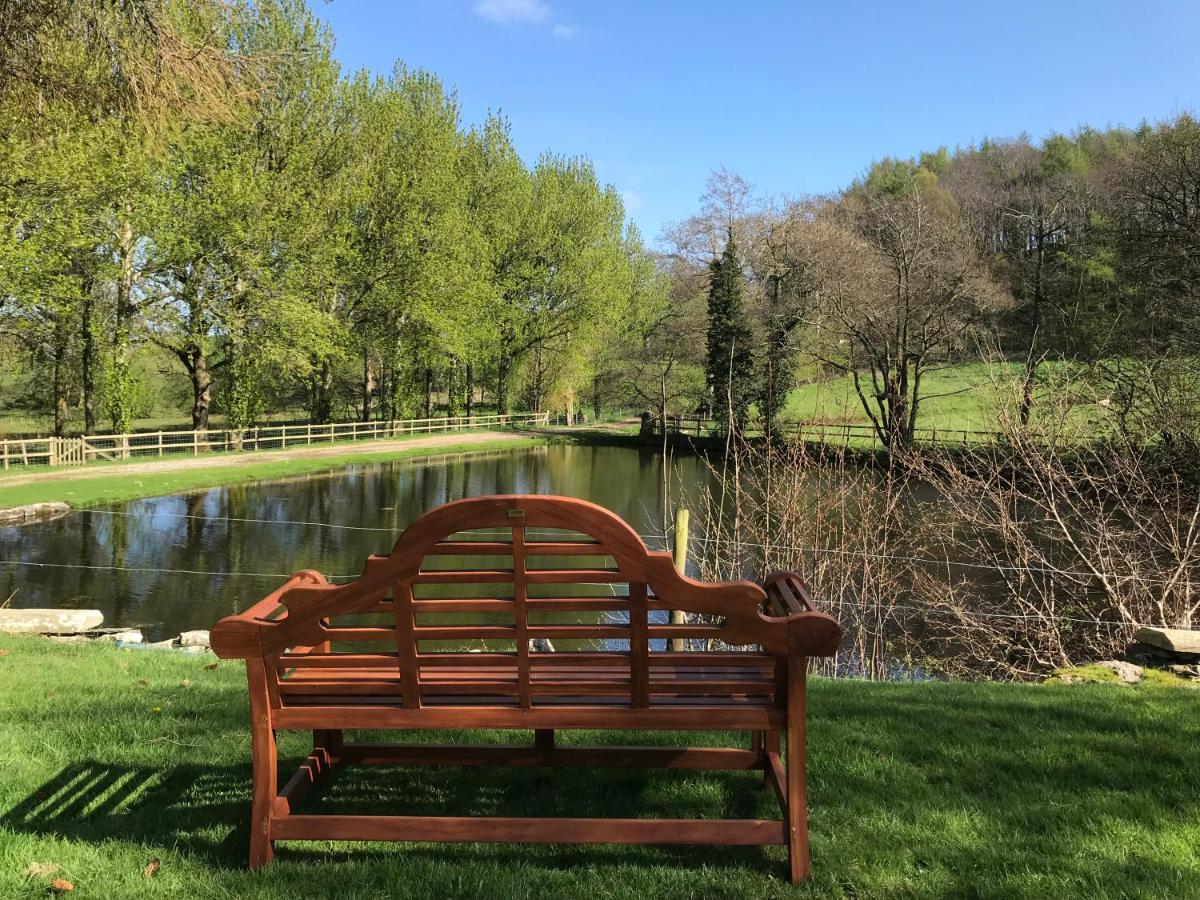 Penbedw Uchaf Estate - Rural retreats, tennis - Ferienwohnung Mold