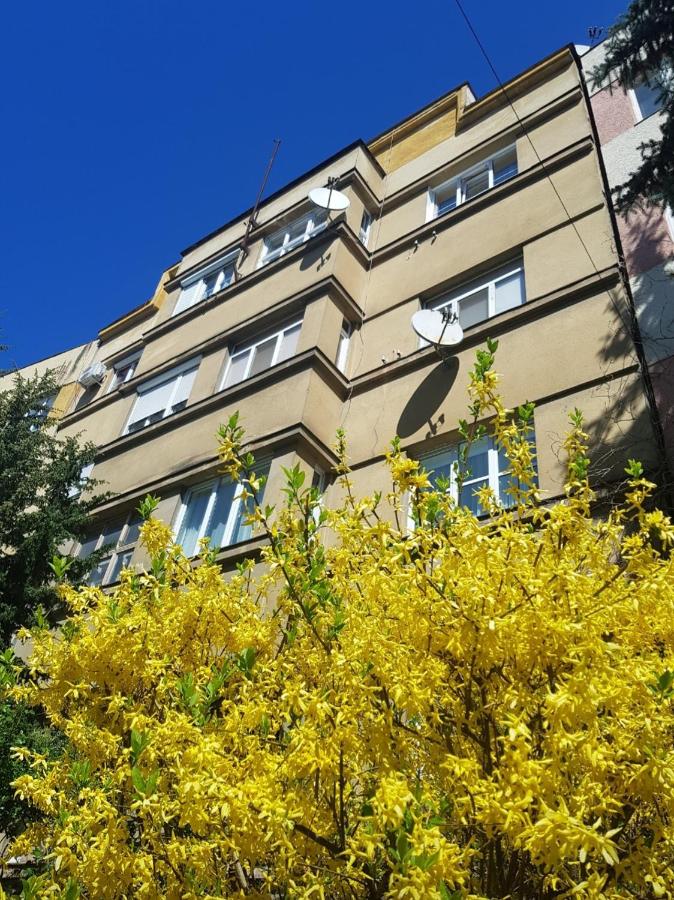 Затишні смарт-квартири в історичному центрі! - B&B Uzhhorod