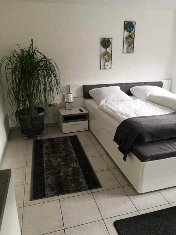 Appartement 1 Chambre
