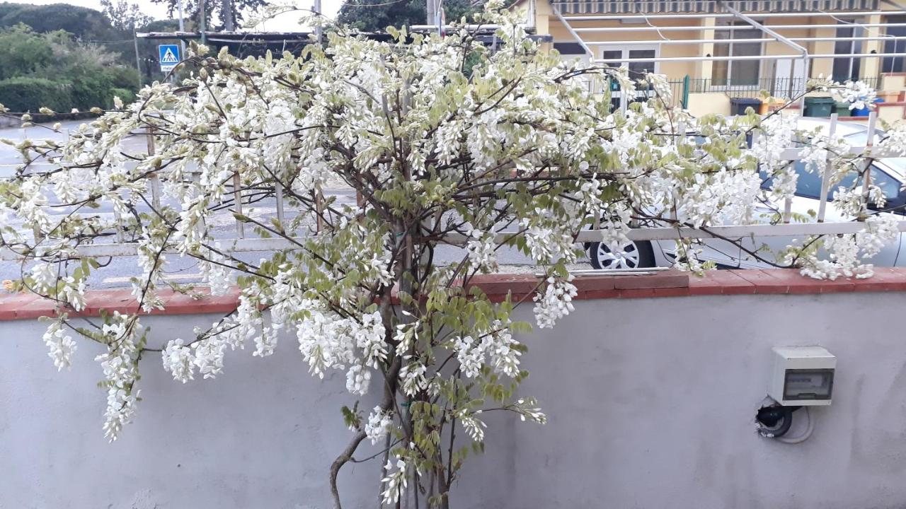 Le Bagnanti Di Miro' - B&B Terracina