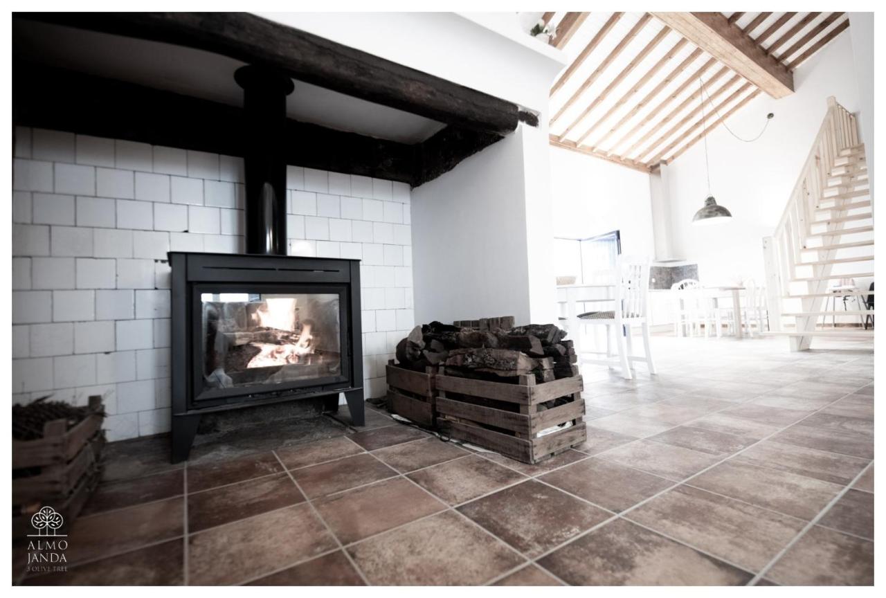 Almojanda 3 olive tree - B&B Fortios