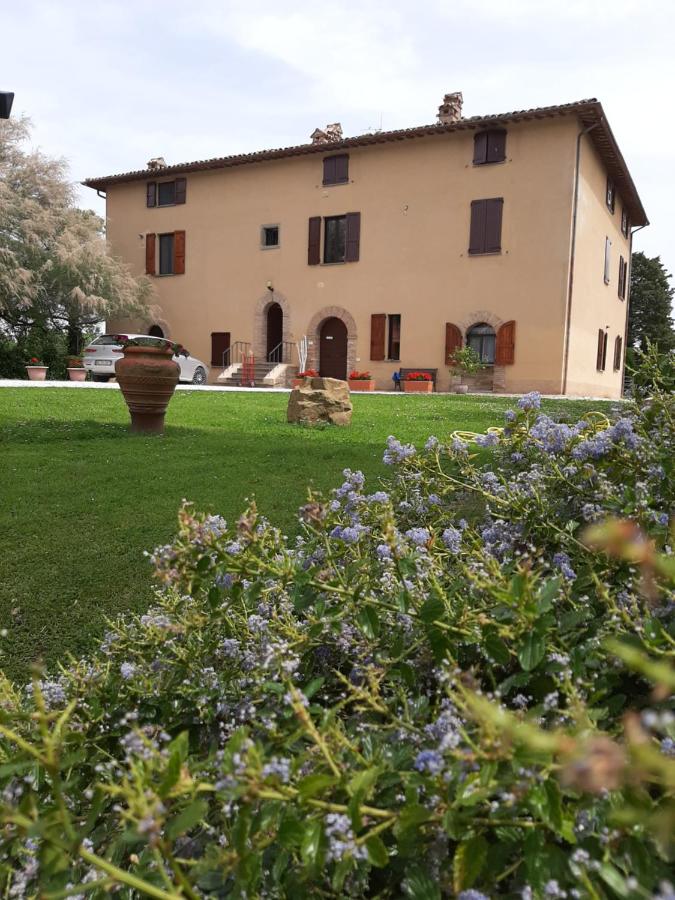 B&B Gubbio - Villa Finetti - Bed and Breakfast Gubbio