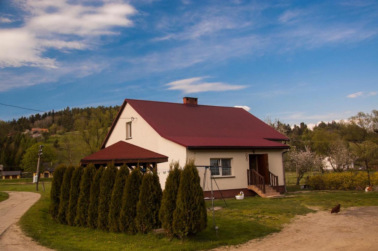 U Jadzi Pogórze Przemyskie - B&B