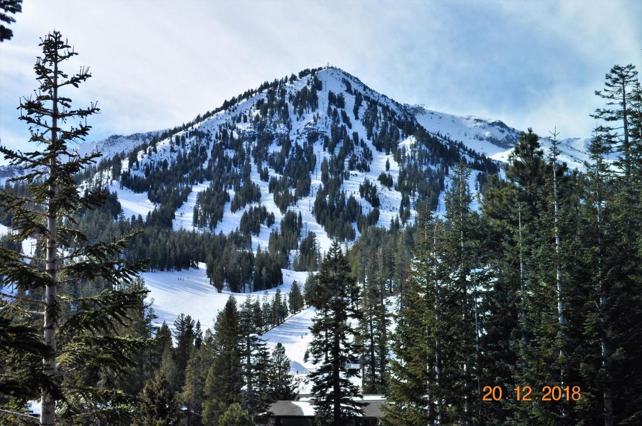 Mammoth Ski & Racquet Club #38 - Pet Okay - B&B