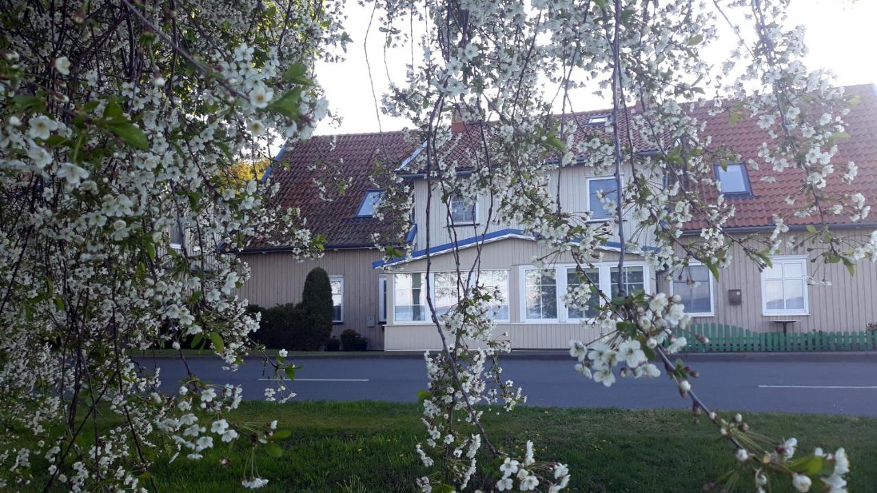 Eugenijus Apartments - Bed and Breakfast