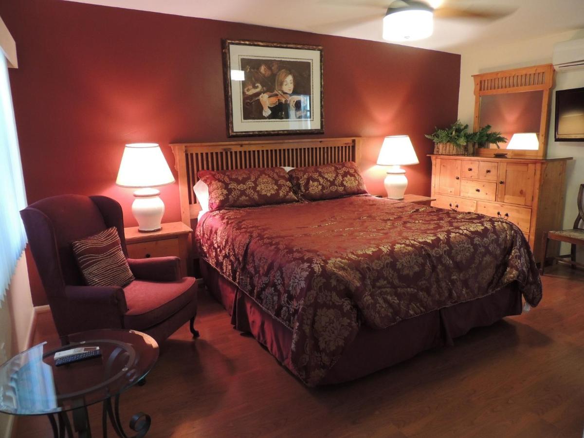 Suite King con 1 Camera da Letto 
