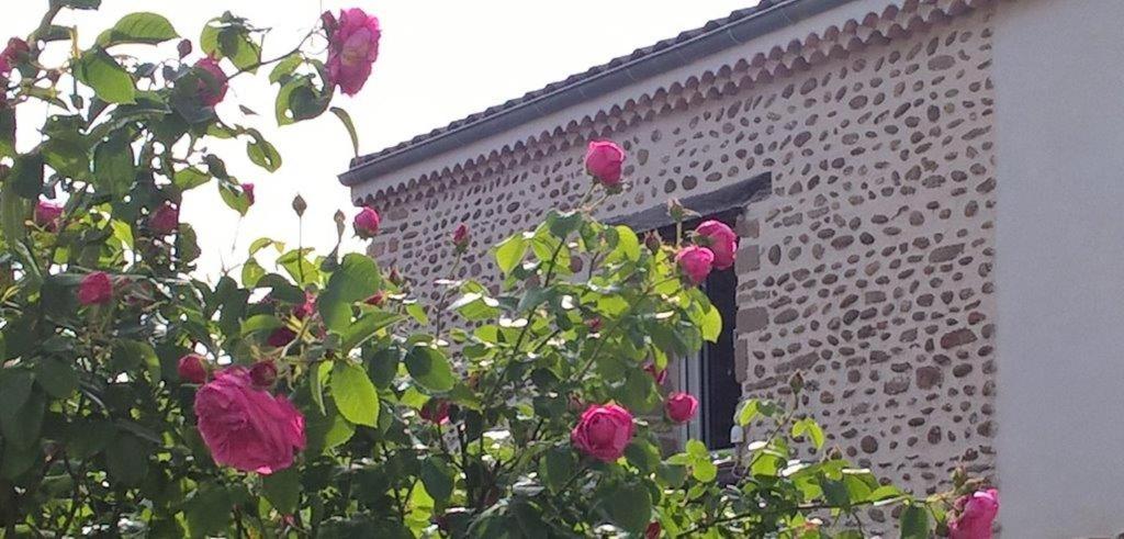 Ô Joly Valois - B&B