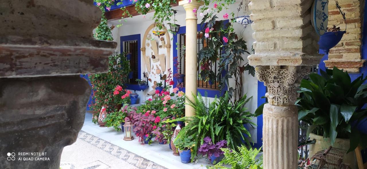 Alojamiento casa típica de Córdoba - B&B Córdoba