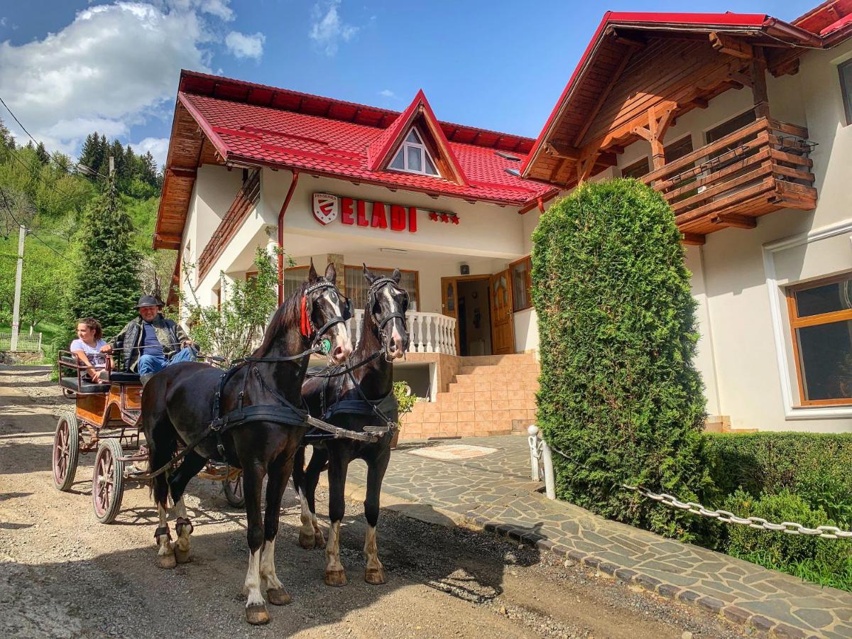 Pensiunea Eladi - B&B