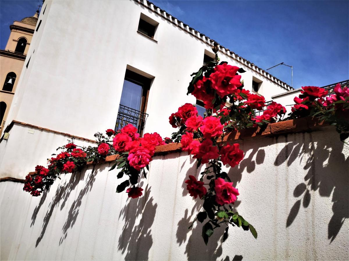 Arco Bianco - Monolocali - B&B