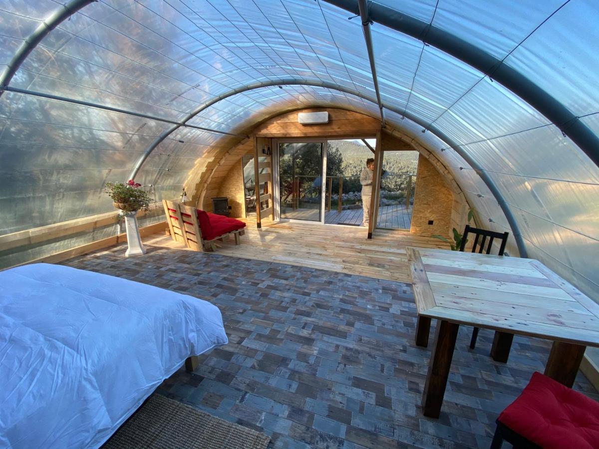 King Room with Mountain View
