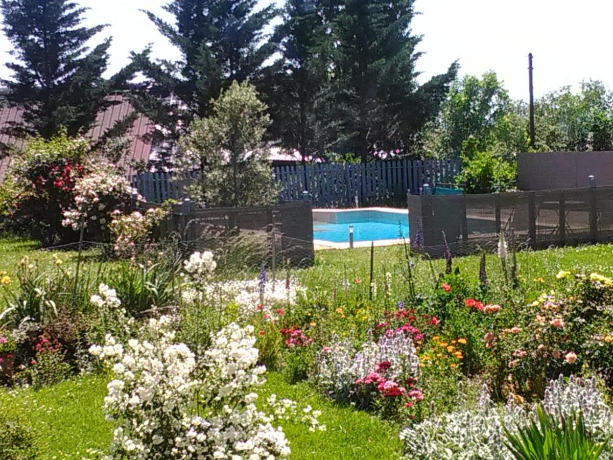 Nature et Piscine au sommet du Périgord - B&B Tourtoirac