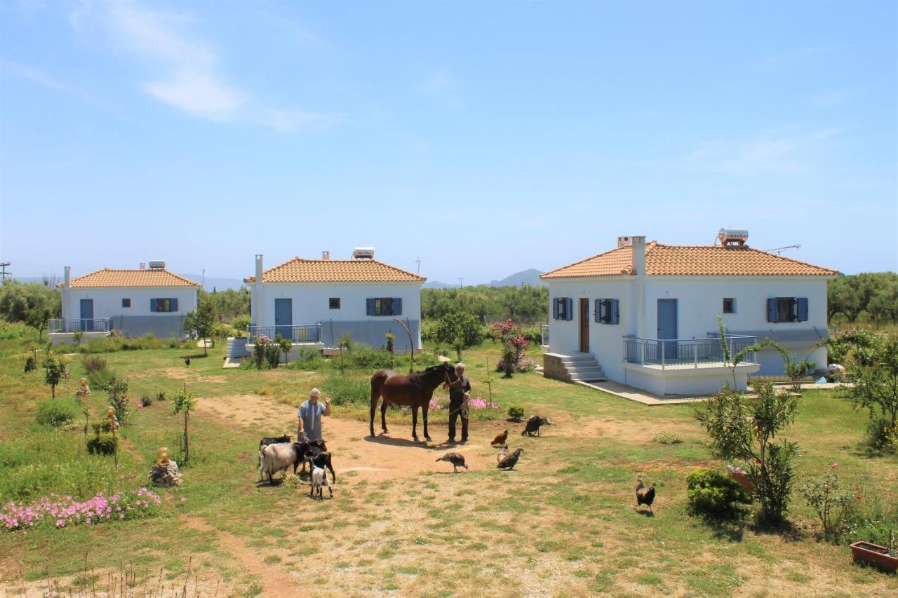 B&B Romanos - Stamna Farm - Bed and Breakfast Romanos