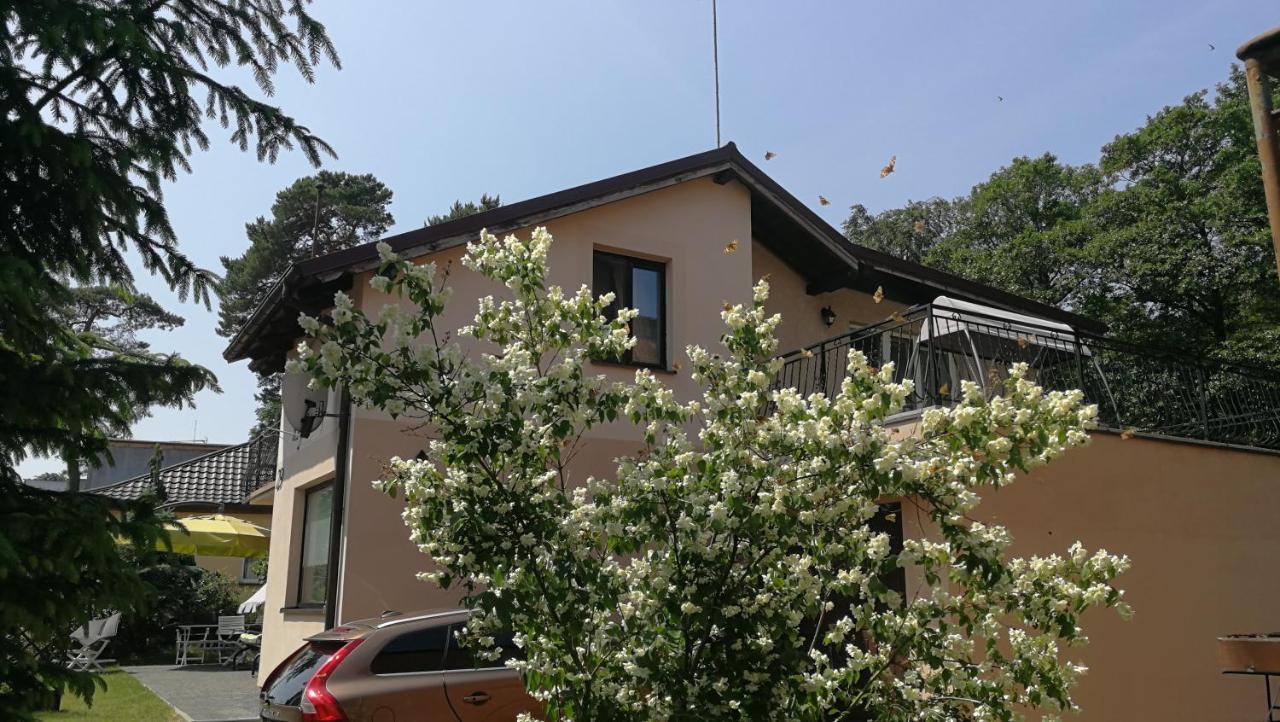Willa Łysica - Ferienwohnung