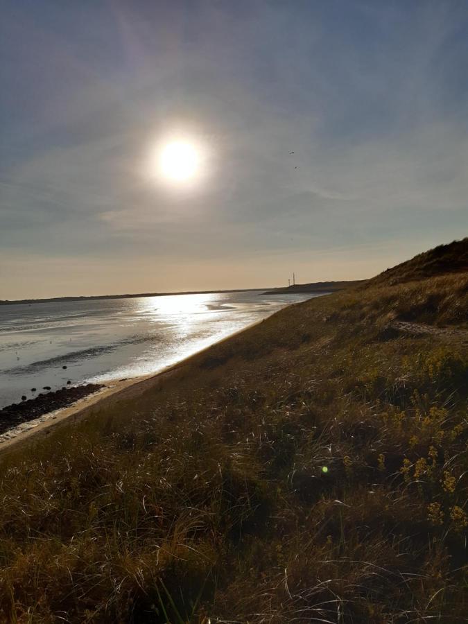 genieten texel 8 - Ferienwohnung De Koog
